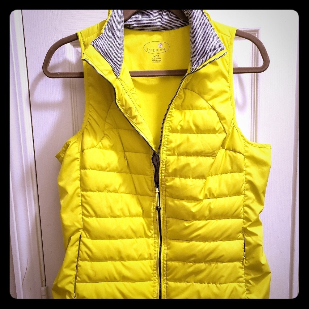 Vest